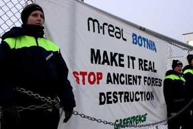 Protest bei Stora Enso