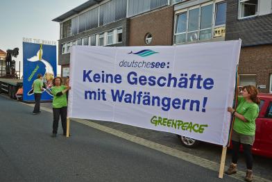 Greenpeace-Aktivisten protestieren für den Schutz der Wale bei der Zentrale von Deutsche See in Bremerhaven, August 2013
