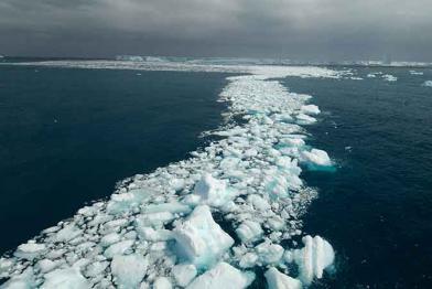 Eisberge vor dem Drygalski Fjord auf der Inselgruppe Südgeorgien im Atlantischen Ozean, November 2008