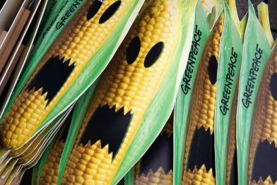 Widerstand gegen Gen-Mais