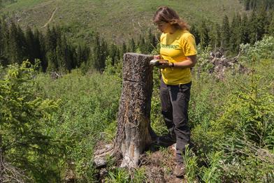 Porträt Gesche Jürgens