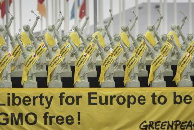 Greenpeace-Aktivisten mit Banner gegen genetisch manipulierte Pflanzen