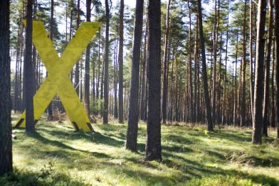 Großes gelbes X im Wald