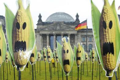 Auf der Wiese vor dem Reichstagsgebäude in Berlin stehen Dutzende Aufsteller von Maiskolben, die ein Fratzen-Gesicht zeigen.