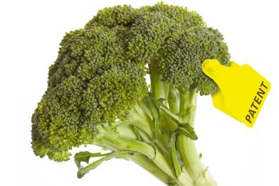 Brokkoli mit "Patent"-Clip