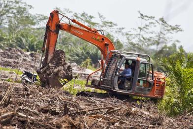 Bagger rodet Regenwald in Kalimantan, Indonesien