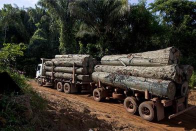 Ein Transporter mit Holzstämmen beladen, 26.03.2014