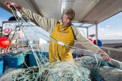 Handwerklicher Fischer in Suffolk, Großbritannien