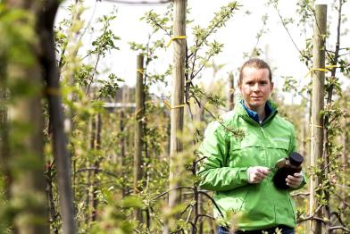Christiane Huxdorff, Greenpeace-Expertin für Landwirtschaft bei der Entnahme von Bodenproben auf einer deutschen Apfelplantage.  