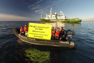 Greenpeace-Aktivisten mit Banner vor der Esperanza
