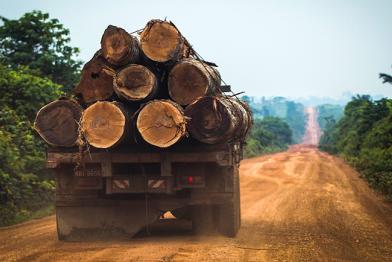 Holztruck im Staat Amazonas