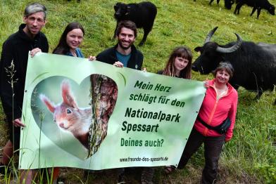 Wasserbüffel bei Greenpeace-Infostand zum Nationalpark im Spessart.