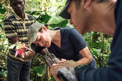 Bodenprobenahme in der Demokratischen Republik Kongo