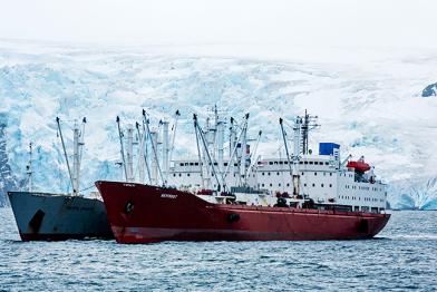 Zwei Kühlschiffe, sogenannte Reefer, in der antarktischen Discovery Bay