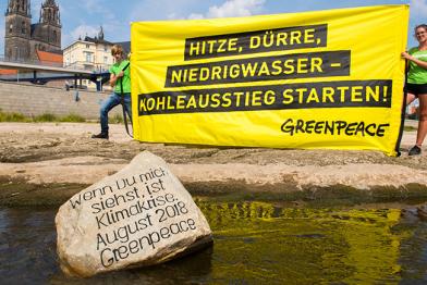 Hungerstein in der Elbe