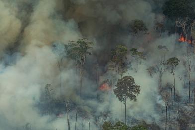 24. August 2019: Brennender Urwald in Amazonien