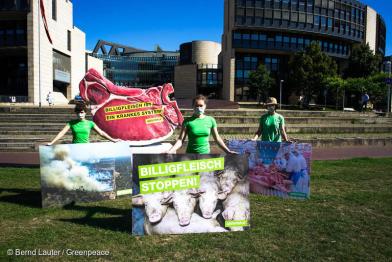 Protest vor dem NRW-Landtag in Düsseldorf