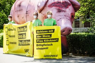 Gegen das kranke System Billigfleisch