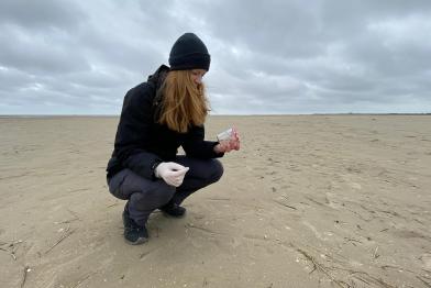 Probenahme am Strand