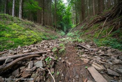 Durch den Waldboden ist eine Schneise geschlagen, an den Seiten liegen Steine und Äste