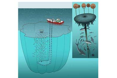 Fischerei Grafik. Fischereimethode Fischsammler (FAD), August 2011