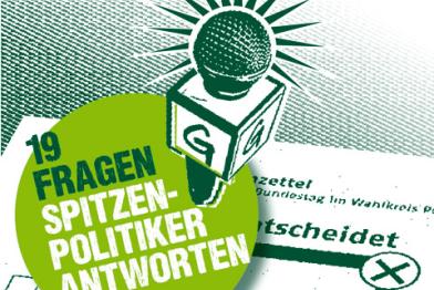Greenpeace-Wahlkompass 2013