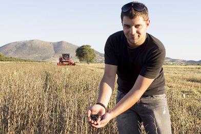 Griechischer Landwirt steht auf einem Feld und hält Bohnen-Saatgut in der Hand. 