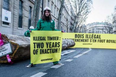Greenpeace-Aktivisten legen einen 4 Tonnen schweres illegales Tropenholz vor das Umweltministerium, März 2015