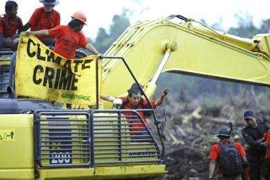 Greenpeace-Aktivisten protestieren an einem Bagger der Fa. APRIL gegen Regenwaldzerstörung in Indonesien, 12. November 2009