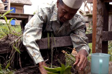 Wiederaufbau des Climate Defenders Camp in Indonesien 05/18/2010