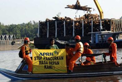 Greenpeace protestiert gegen eine weitere Abholzung der Torfwälder. Juli 2010