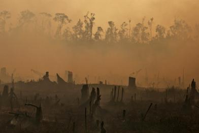 Durch illegale Brandrodung zerstörter Urwald auf Sumatra, Indonesien 06/23/2013