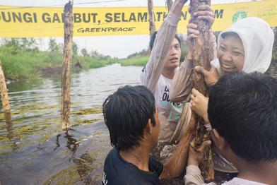 Dammbau in Zentral-Kalimantan