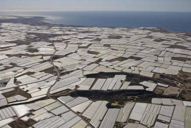 Intensive Landwirtschaft im Südosten Spaniens (Andalusien) . Plastikfolien-Gewächshäuser für den Gemüseanbau entlang der spanischen Küste bei Almeria, genannt "Plastic-city" El Ejido. 