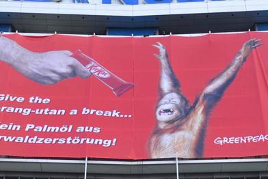 Für das Palmöl in Kitkat sterben in Indonesien Urwälder und Orang-Utans 04/15/2010
