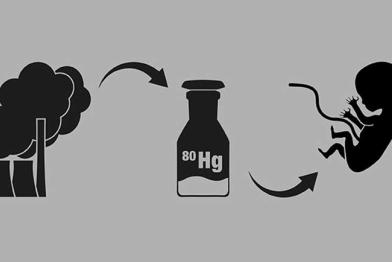 Infografik Quecksilber und Kohle