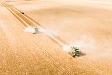 Industriell bewirtschaftetes Feld in Sachsen-Anhalt