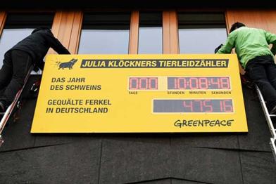 Der digitale Zähler am Landwirtschaftsministerium läuft: Sekundengenau zeigt er die Zahl der seit Beginn des „Jahrs der Schweins“ gequälten Ferkel in Deutschland.