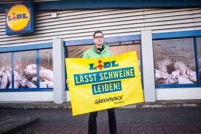 Aktivisten überdecken die Fensterscheiben einer Lidl-Filiale in Nürnberg mit Fotos von Schweinen aus Massentierhaltung, im Vordergrund ein Banner: Lidl lässt Schweine leiden.