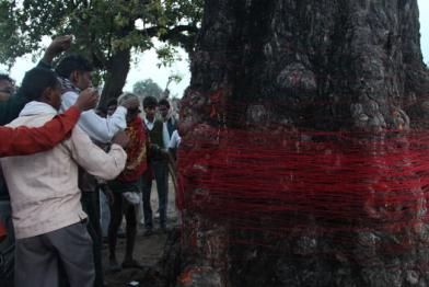 Inder wickeln einen roten Faden um einen Baum und drücken somit ihren friedlichen Protest für den Schutz des Mahan-Waldes und gegen neue Kohleminen aus