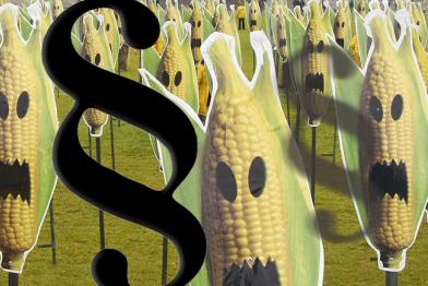 Schilder mit Gen-Maiskolben, darüber sind Paragraphnezeichen montiert