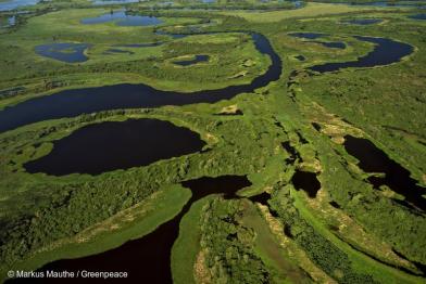 Luftaufnahme von dem Pantanal, Grünflächen und viel Wasser.