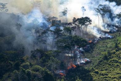 Brennender Regenwald im Amazonas