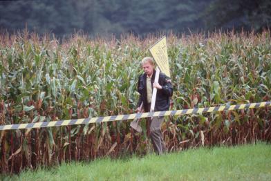 Polizist vor Maisfeld, Aktion zu genmanipuliertem Mais
