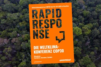 Rapid Response COP30 