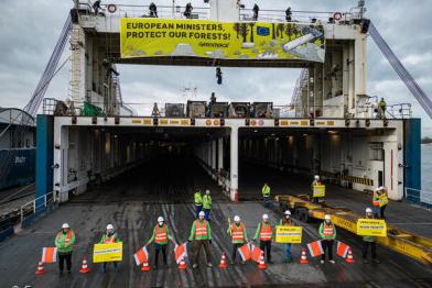 Greenpeace Aktive stehen an Bord eines Frachters. Sie haben ein Banner mit der Aufschrift "European Ministers, protect out forests!" an der höchsten Stelle des Schiffs befestigt. 