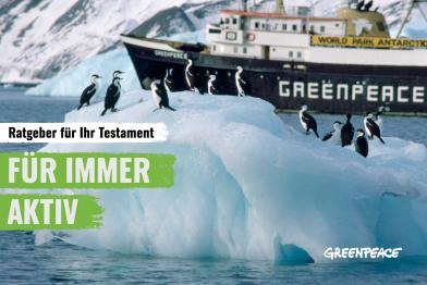 Das Grüne Testament Greenpeace Für immer aktiv Testamentsbroschüre Sep 2023_klein