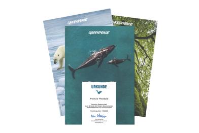 Patenschaften bei Greenpeace Beispiel-Urkunde: Meere, Klima und Wälder