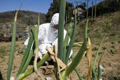 Strahlungsmessung auf den Feldern bei Fukushima im April 2011.