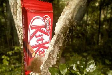 Screenshot vom Greenpeace Kitkat-Video